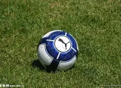 开云体育官,资讯,开云体育官网,开云体育,开云体育官网,开云体育app,开云体育平台,KAIYUN,SPORTS,kaiyun登录入口