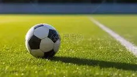 开云体育官网 产品 090641 bj6