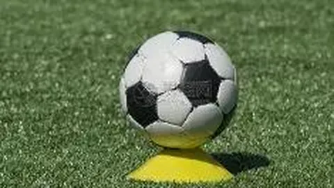 开云体育官网 产品 090342 wfs