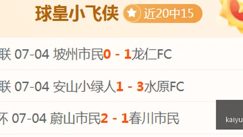 开云体育官网 124704