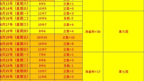 开云体育官网 133433