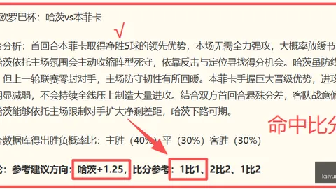 开云体育官网 085336 50